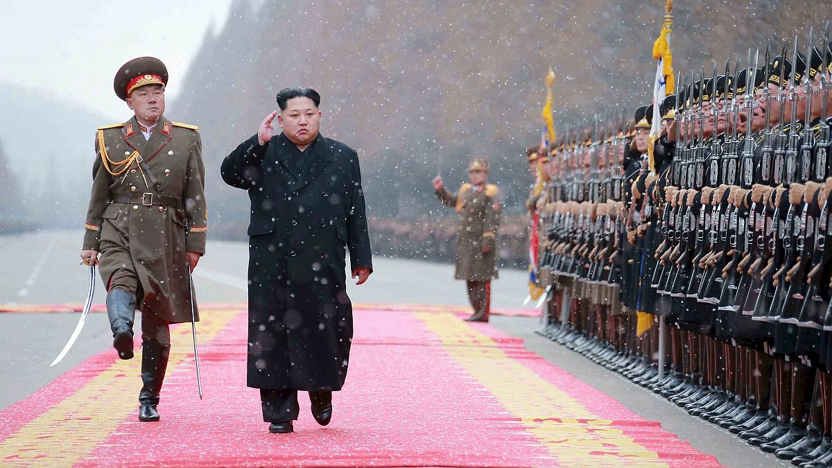 Kuzey Kore: Casusluk operasyonlarını yürüten asker Güney'e kaçtı