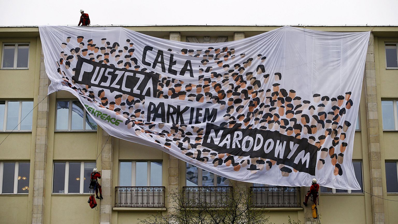 Greenpace'den Avrupa'nın son bakir ormanı için protesto