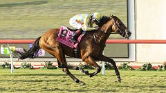 IMAGE: Racing at Del Mar