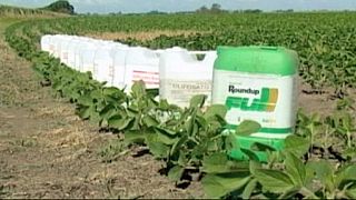 Parlamento Europeu vota resolução sobre uso de herbicida glifosato