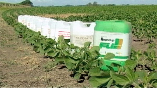 Pas de blanc seing pour le glyphosate au Parlement européen Pas de blanc seing pour le glyphosate au Parlement européen