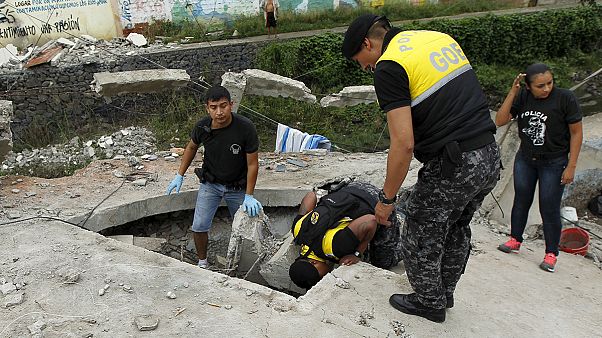 Legkevesebb 233 halálos áldozata van az ecuadori földrengésnek Legkevesebb 233 halálos áldozata van az ecuadori földrengésnek