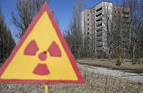 Tschernobyl: Mensch und Natur leiden noch immer