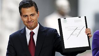Meksika Devlet Başkanı Nieto'dan Parlamento'ya marihuana teklifi