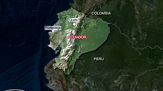 Ecuador: Erde bebt erneut