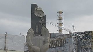 A Ukrainian nuclear power plant and the containment of a disaster