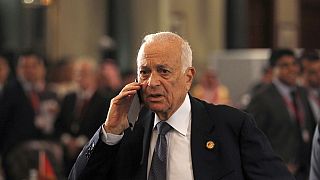 Arab League chief calls for special court to try Israel
