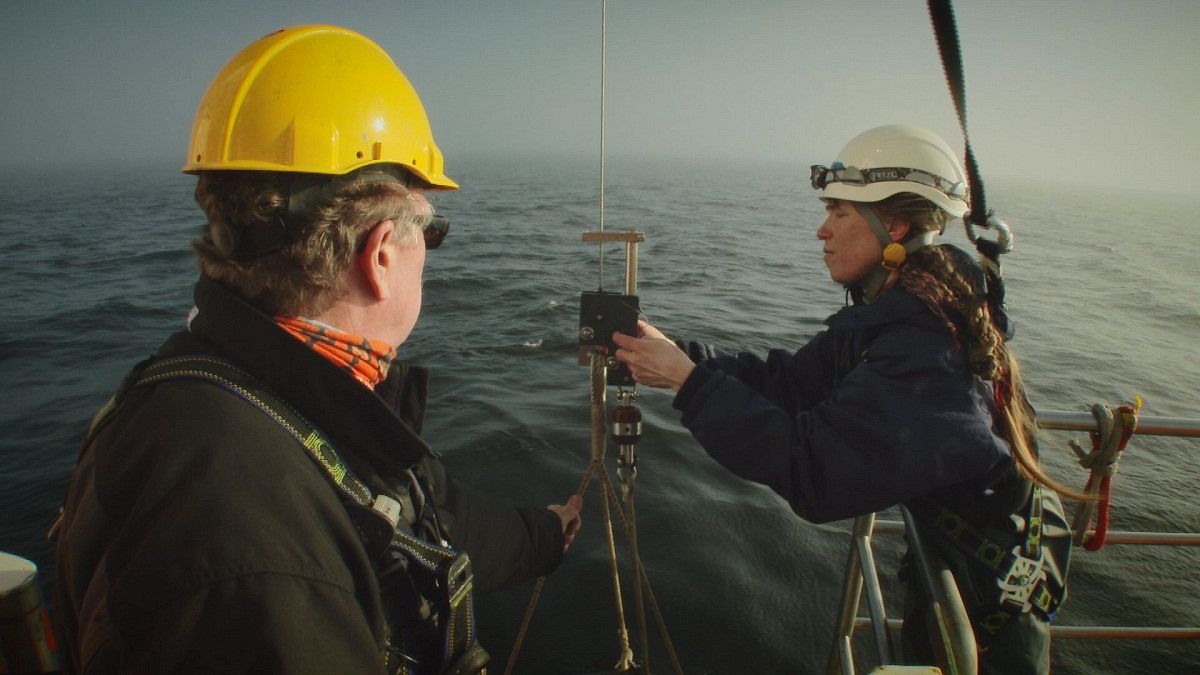 Investigando las profundidades de mares y océanos para salvarlos