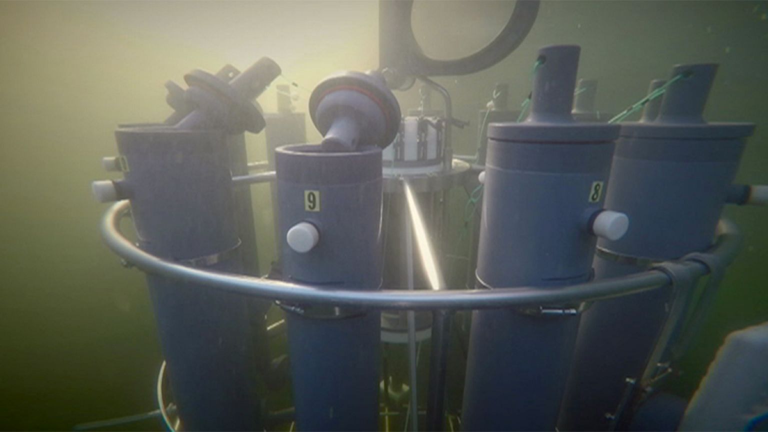 Takeaway: how to take sea water samples