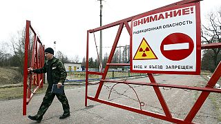Csernobil - düledező épületek és kóborló vadállatok