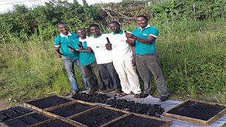 Cameroun : du charbon écologique pour lutter contre les coupes de mangroves
