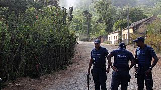 Кабо-Верде: в армейской казарме нашли 11 убитых