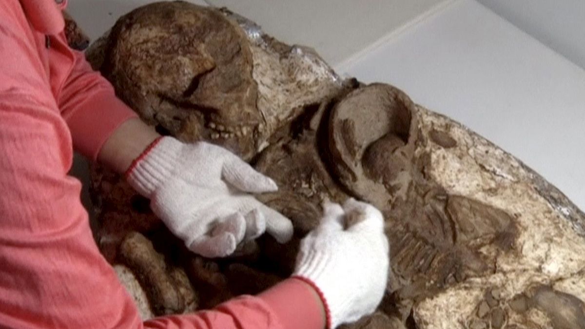 В Тайване нашли останки матери с ребенком эпохи неолита