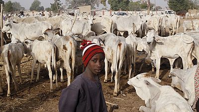 Suspected Fulani herdsmen kill at least 7 in Nigeria's Enugu state