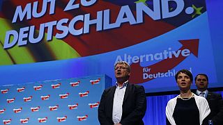 Germany's AfD party adopts anti-Islam manifesto