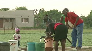 El Niño in Süd- und Ostafrika: Immer mehr Menschen von Lebensmittelknappheit betroffen