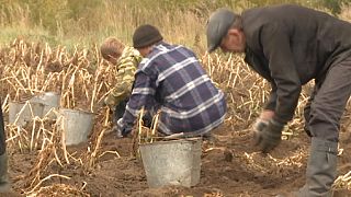 Des terres à donner en Russie