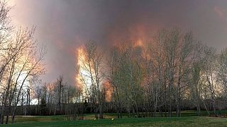 Un incendio forestal provoca evacuaciones masivas en la provincia canadiense de Alberta