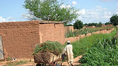 Mali : la sécurité alimentaire menacée