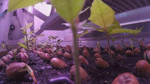 The travelling greenhouse
