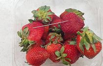 Image: Strawberry needles scare in Australia