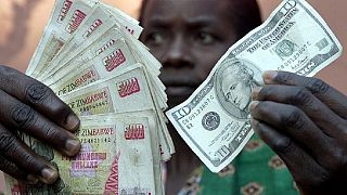 Zimbabwe, Billets d'obligation : la banque centrale se défend