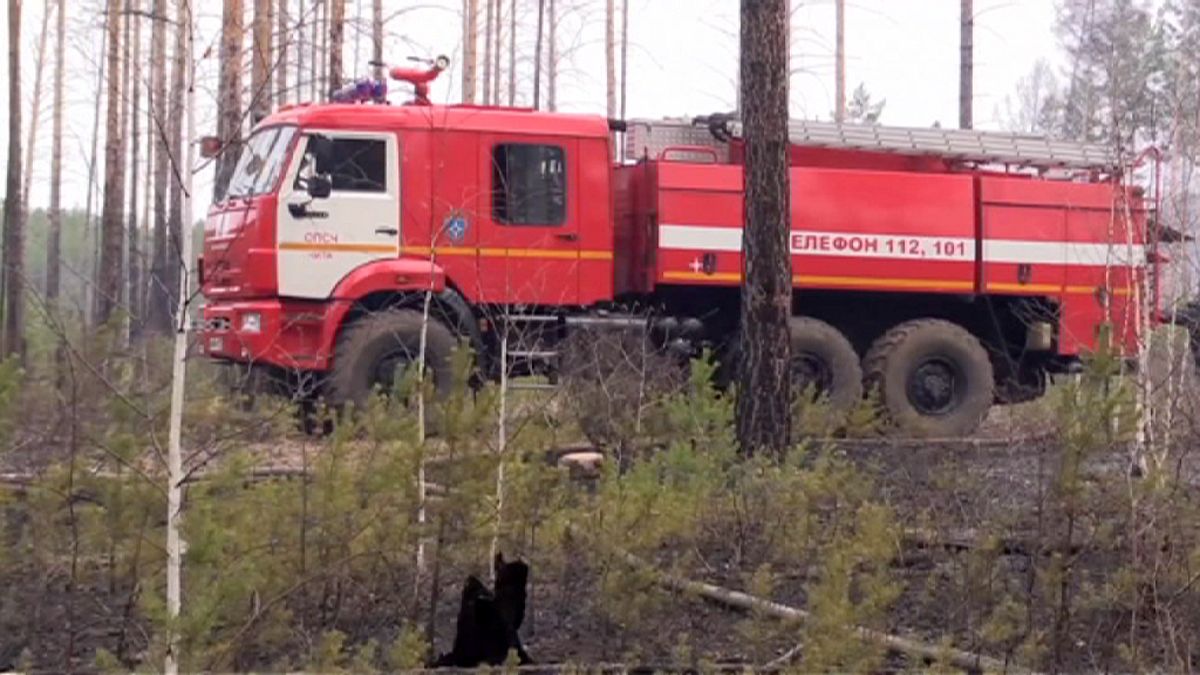 غابات تحترق في روسيا