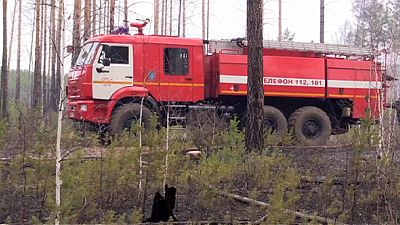 Incendios forestales en Rusia