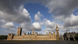 British MPs 'hiring their relatives on higher wages than other staff'