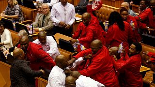 Afrique du Sud : une bagarre en pleine session parlementaire