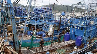 Illegal fishing accord to be enforced from June