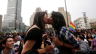 Meksika Devlet Başkanı Nieto LGBT'lileri sevindirdi
