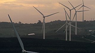 Ecologistas saúdam "recorde" de energias verdes em Portugal