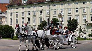 Österreich vor der Schicksalswahl