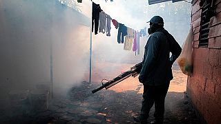 Már Afrika határában a Zika-vírus