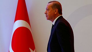 Aus Berlin hagelt es Kritik an der Türkei nach Immunitätsgesetz