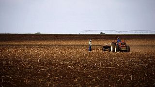 South Africa to introduce land reforms, limit farm sizes