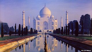 Insect excrement turning the Taj Mahal green