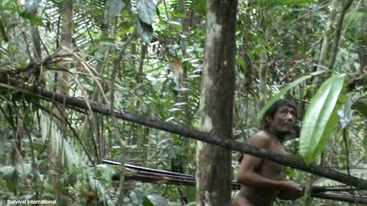 Video - Brazil’s uncontacted Kawahiva tribe on the edge of extinction