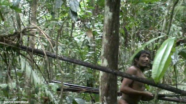 Video - Brazil’s uncontacted Kawahiva tribe on the edge of extinction Video - Brazil’s uncontacted Kawahiva tribe on the edge of extinction