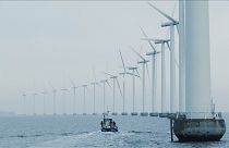 Açık denizlerden gelen yenilenebilir enerji