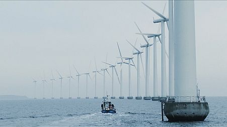 New tech to protect Denmark's wind turbines from erosion