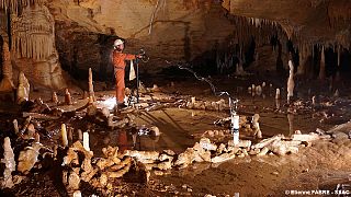 Komoly csapatmunkában alkothatott a neandervölgyi ember