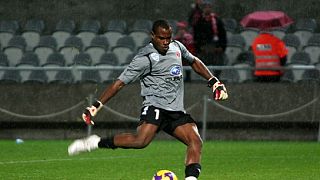 Nigeria's Enyeama extends Lille contract till 2019