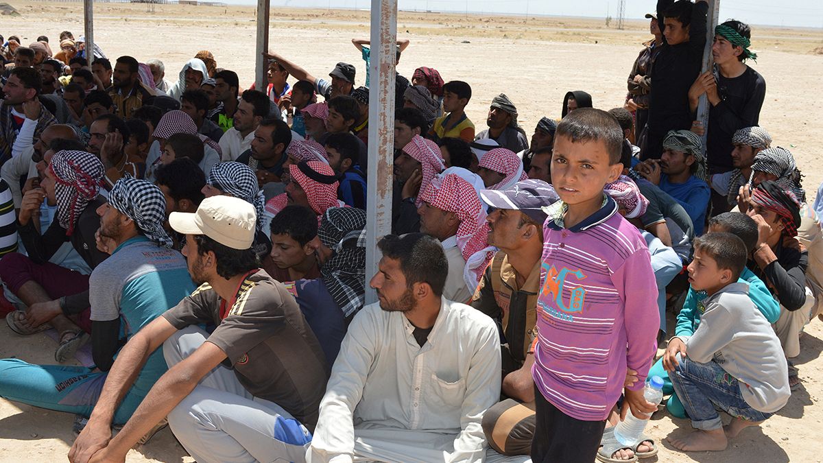 Cientos de iraquíes huyen de las afueras de Faluya antes de la ofensiva del Ejército