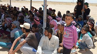 Fleeing Fallujah: hundreds leave but tens of thousands are trapped