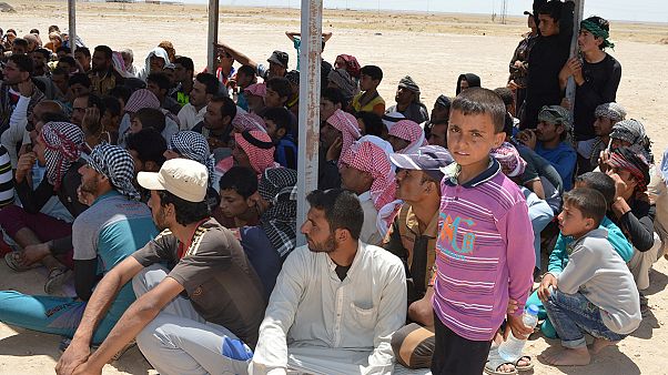 Irak : 4e jour de combat pour reprendre à Daesh la ville de Fallouja Irak : 4e jour de combat pour reprendre à Daesh la ville de Fallouja