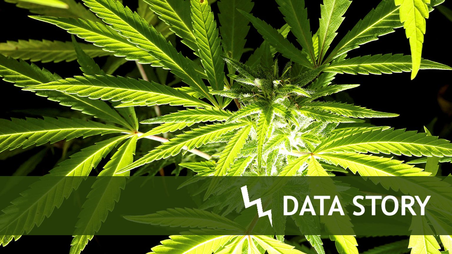 5 tendances clés du marché de la drogue en Europe