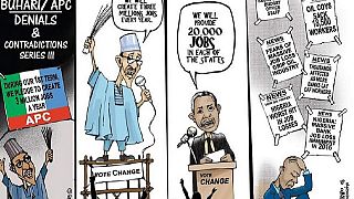 Nigeria's main opposition mock Buhari's first year with cartoons