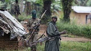 RDC : opération ''SOKOLA1'', pour lutter contre les groupes rebelles